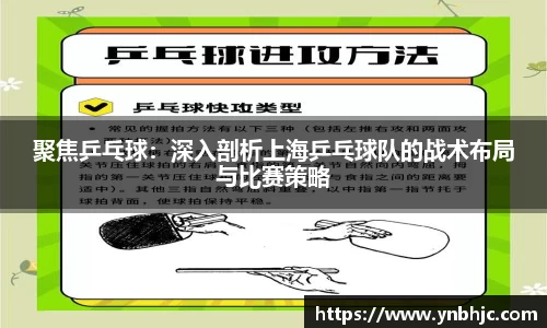 聚焦乒乓球：深入剖析上海乒乓球队的战术布局与比赛策略