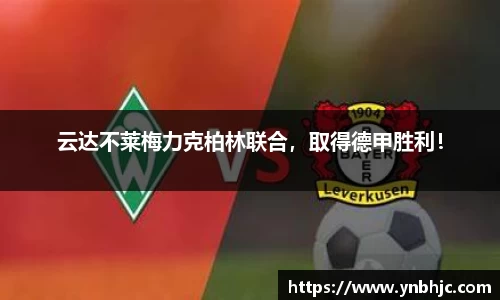 HB火博官方网站