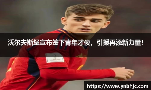 沃尔夫斯堡宣布签下青年才俊，引援再添新力量!
