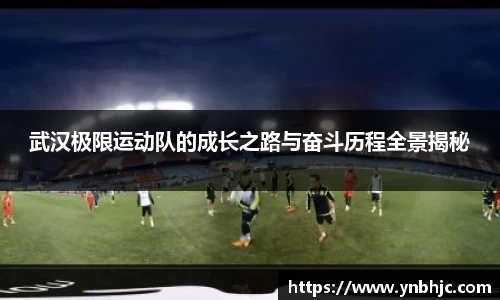 HB火博官方登录入口